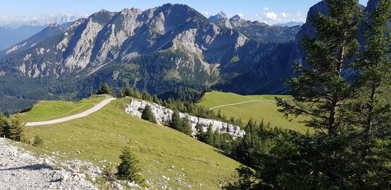 Nr 3 "Aggenstein"-Einzigartige Studio Mit Sued Balkon Inkl Koenigscard Pfronten Bagian luar foto